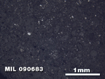 Thin Section Photo of Sample MIL 090683 in Reflected Light with 2.5X Magnification