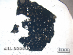 Thin Section Photo of Sample MIL 090686 in Plane-Polarized Light with 1.25X Magnification