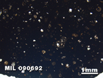 Thin Section Photo of Sample MIL 090692 in Plane-Polarized Light with 1.25X Magnification
