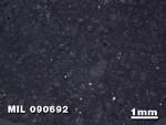 Thin Section Photo of Sample MIL 090692 in Reflected Light with 1.25X Magnification
