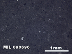 Thin Section Photo of Sample MIL 090696 in Reflected Light with 2.5X Magnification