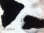 Thin Section Photo of Sample MIL 090697 in Plane-Polarized Light with 1.25x Magnification