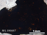 Thin Section Photo of Sample MIL 090697 in Plane-Polarized Light with 2.5x Magnification