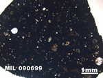 Thin Section Photo of Sample MIL 090699 in Plane-Polarized Light with 1.25X Magnification