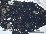 Thin Section Photo of Sample MIL 090723 at 2.5X Magnification in Plane-Polarized Light