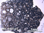 Thin Section Photo of Sample MIL 090727 at 2.5X Magnification in Plane-Polarized Light