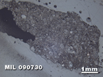 Thin Section Photo of Sample MIL 090730 at 1.25X Magnification in Reflected Light