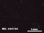 Thin Section Photo of Sample MIL 090780 at 2.5X Magnification in Cross-Polarized Light