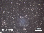 Thin Section Photo of Sample MIL 090785 at 1.25X Magnification in Plane-Polarized Light