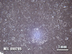 Thin Section Photo of Sample MIL 090785 at 1.25X Magnification in Reflected Light