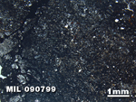 Thin Section Photo of Sample MIL 090799 in Plane-Polarized Light with 1.25X Magnification