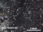 Thin Section Photo of Sample MIL 090799 in Plane-Polarized Light with 2.5X Magnification