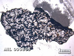 Thin Section Photo of Sample MIL 090805 at 1.25X Magnification in Plane-Polarized Light