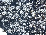 Thin Section Photo of Sample MIL 090805 at 2.5X Magnification in Plane-Polarized Light
