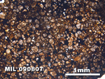 Thin Section Photo of Sample MIL 090807 at 2.5X Magnification in Plane-Polarized Light