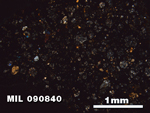Thin Section Photo of Sample MIL 090840 in Cross-Polarized Light with 2.5X Magnification