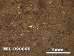 Thin Section Photo of Sample MIL 090890 in Reflected Light with 2.5X Magnification