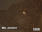 Thin Section Photo of Sample MIL 090897 in Reflected Light with 1.25X Magnification