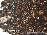 Thin Section Photo of Sample MIL 090897 in Plane-Polarized Light with 2.5X Magnification