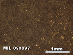 Thin Section Photo of Sample MIL 090897 in Reflected Light with 2.5X Magnification