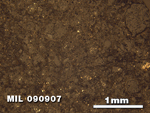 Thin Section Photo of Sample MIL 090907 in Reflected Light with 2.5X Magnification