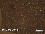 Thin Section Photo of Sample MIL 090915 in Reflected Light with 1.25X Magnification