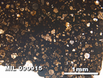 Thin Section Photo of Sample MIL 090915 in Plane-Polarized Light with 2.5X Magnification