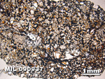 Thin Section Photo of Sample MIL 090937 in Plane-Polarized Light with 1.25X Magnification