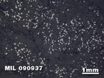Thin Section Photo of Sample MIL 090937 in Reflected Light with 1.25X Magnification