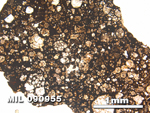 Thin Section Photo of Sample MIL 090955 in Plane-Polarized Light with 2.5X Magnification