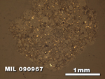 Thin Section Photo of Sample MIL 090967 in Reflected Light with 2.5X Magnification