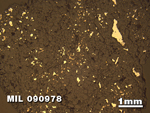 Thin Section Photo of Sample MIL 090978 in Reflected Light with 1.25X Magnification