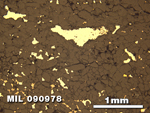 Thin Section Photo of Sample MIL 090978 in Reflected Light with 2.5X Magnification