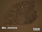 Thin Section Photo of Sample MIL 090982 in Reflected Light with 1.25X Magnification