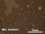 Thin Section Photo of Sample MIL 090983 in Reflected Light with 2.5X Magnification