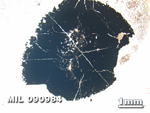 Thin Section Photo of Sample MIL 090984 in Plane-Polarized Light with 1.25X Magnification