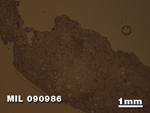 Thin Section Photo of Sample MIL 090986 in Reflected Light with 1.25X Magnification