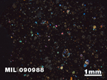 Thin Section Photo of Sample MIL 090988 in Cross-Polarized Light with 1.25X Magnification