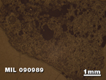 Thin Section Photo of Sample MIL 090989 in Reflected Light with 1.25X Magnification