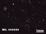 Thin Section Photo of Sample MIL 090989 in Cross-Polarized Light with 1.25X Magnification
