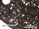 Thin Section Photo of Sample MIL 090989 in Plane-Polarized Light with 2.5X Magnification