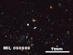 Thin Section Photo of Sample MIL 090989 in Cross-Polarized Light with 2.5X Magnification