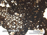 Thin Section Photo of Sample MIL 090992 in Plane-Polarized Light with 2.5X Magnification