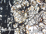 Thin Section Photo of Sample MIL 091004 in Plane-Polarized Light with 2.5X Magnification