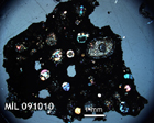 Thin Section Photo of Sample MIL 091010 in Cross-Polarized Light with 1.25x Magnification