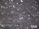Thin Section Photo of Sample MIL 11014 in Reflected Light with 1.25x Magnification