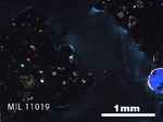 Thin Section Photo of Sample MIL 11019 in Cross-Polarized Light with 2.5x Magnification