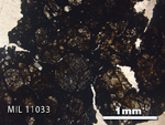 Thin Section Photo of Sample MIL 11033 in Plane-Polarized Light with 2.5x Magnification
