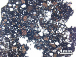 Thin Section Photo of Sample MIL 11041 in Plane-Polarized Light with 1.25X Magnification