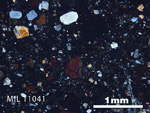 Thin Section Photo of Sample MIL 11041 in Cross-Polarized Light with 2.5X Magnification